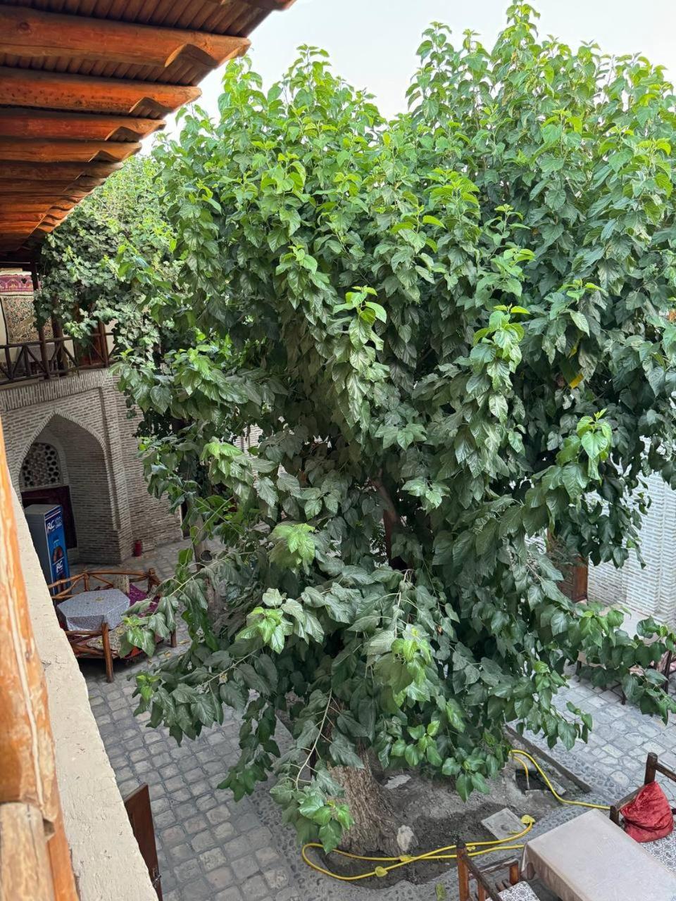 Ohun 18Th Century Caravansarai Бухара Екстер'єр фото